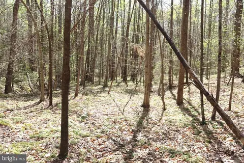 Snake Castle Rd, Sumerduck, VA photo 8