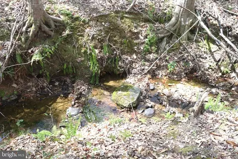Snake Castle Rd, Sumerduck, VA photo 10
