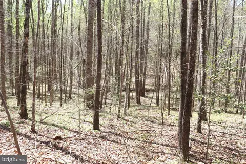 Snake Castle Rd, Sumerduck, VA photo 15