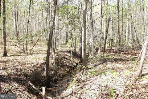 Snake Castle Rd, Sumerduck, VA photo 9