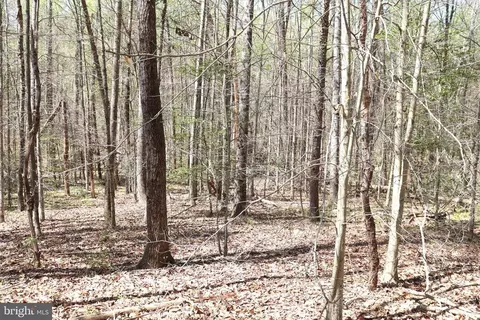 Snake Castle Rd, Sumerduck, VA photo 14