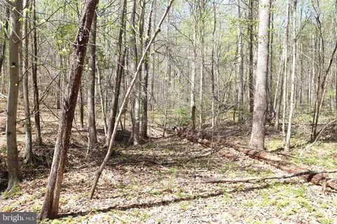 Snake Castle Rd, Sumerduck, VA photo 18