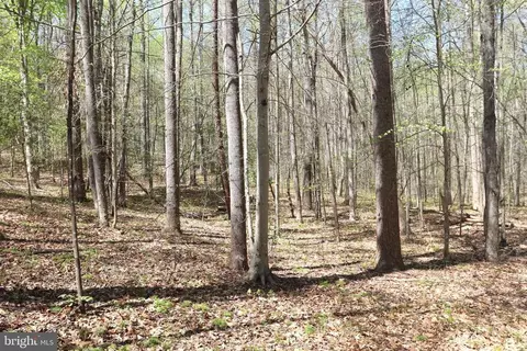 Snake Castle Rd, Sumerduck, VA photo 19