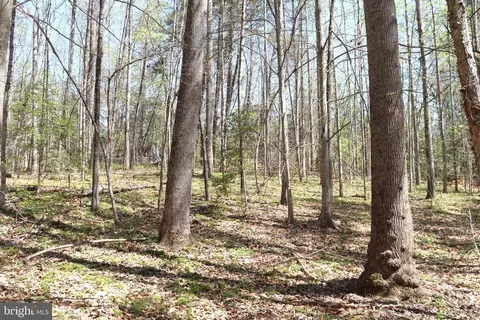 Snake Castle Rd, Sumerduck, VA photo 17