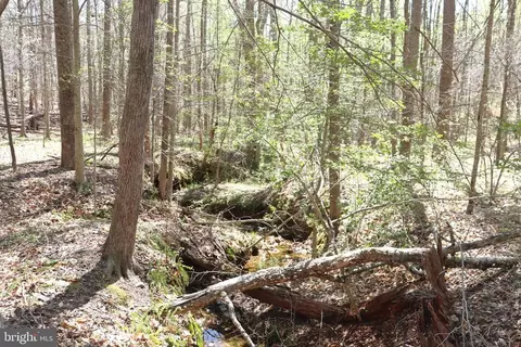 Snake Castle Rd, Sumerduck, VA photo 11