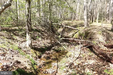 Snake Castle Rd, Sumerduck, VA photo 12