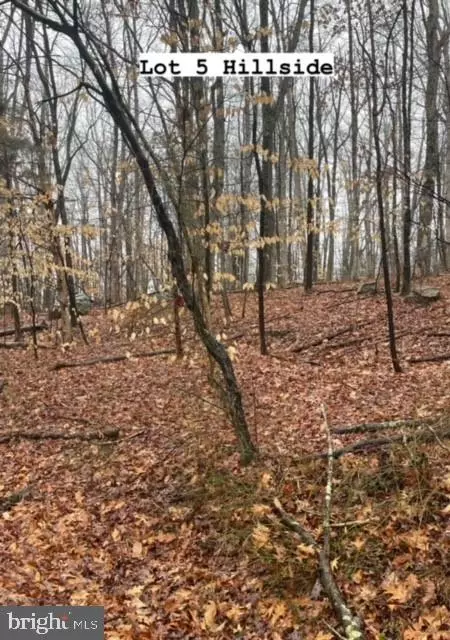 0 Hillside Dr #LOT 5, New Baltimore, VA