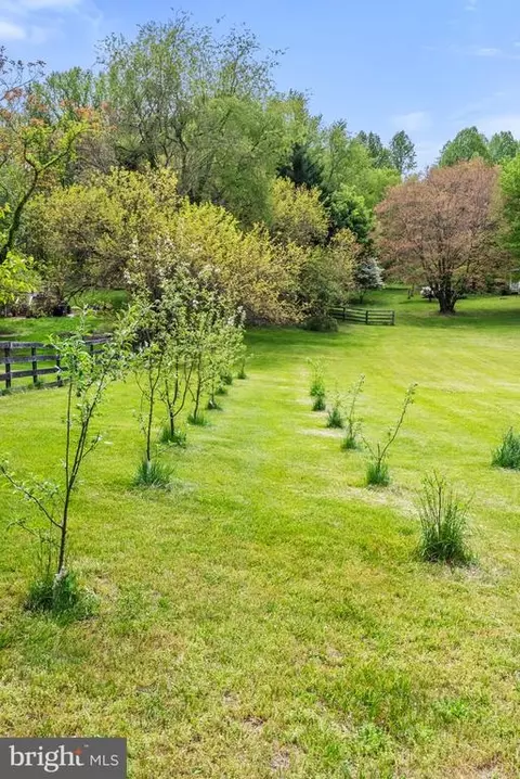 3380 Rectortown Rd, Marshall, VA 20115 photo 23