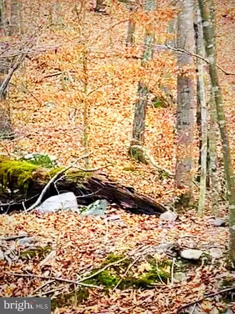 Fiery Run Rd., Linden, VA