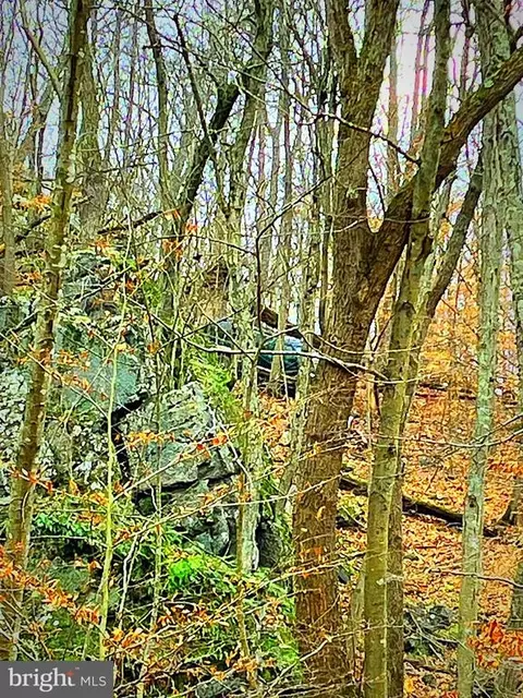 Fiery Run Rd., Linden, VA photo 2