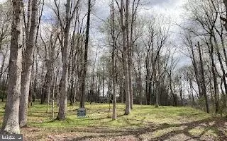 Winchester Road, Delaplane, VA