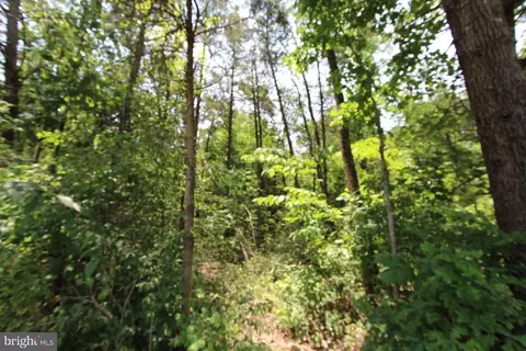 Catlett School Rd, Catlett, VA photo 3