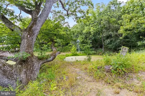 12336 Moss Hollow Rd, Markham, VA 22643 photo 35