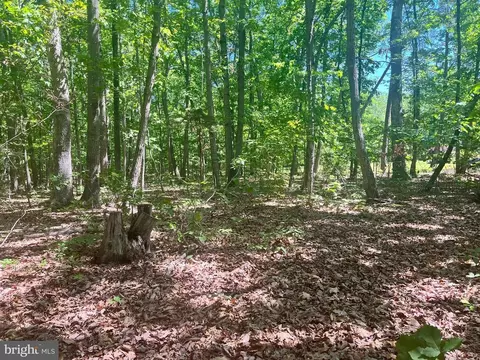 Elk Run Rd., Midland, VA photo 9