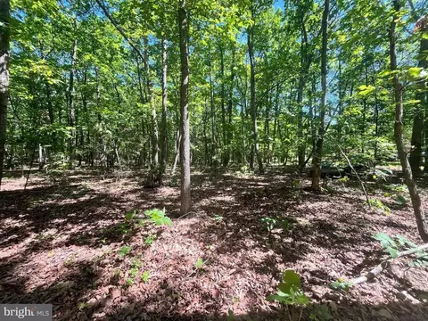 Elk Run Rd., Midland, VA photo 8