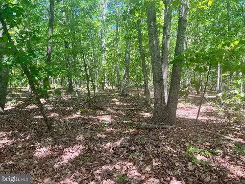 Elk Run Rd., Midland, VA photo 10