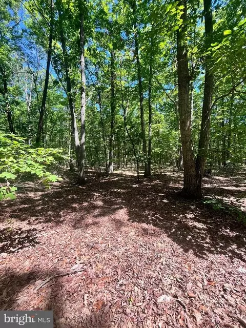Elk Run Rd., Midland, VA photo 6