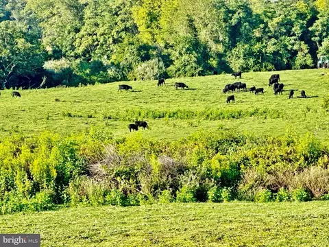 Pasture Lane, Marshall, VA photo 12