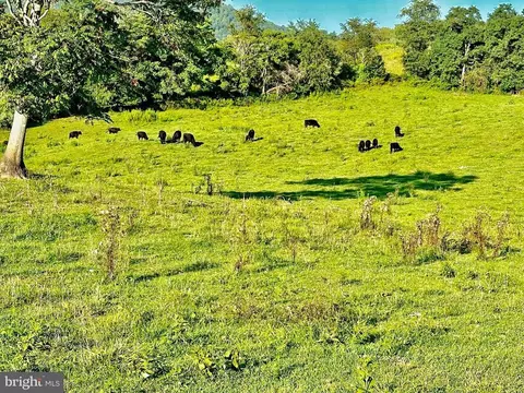 Pasture Lane, Marshall, VA photo 14