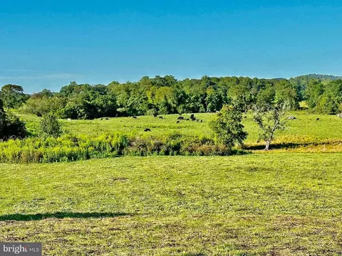 Pasture Lane, Marshall, VA photo 11