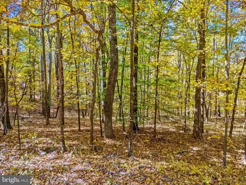 Viewtree Drive, Warrenton, VA photo 3