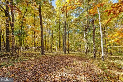 Viewtree Drive, Warrenton, VA photo 4