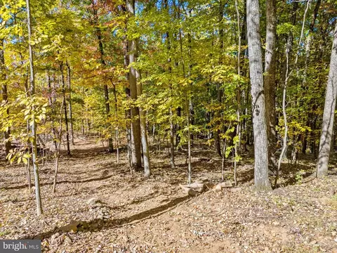 Viewtree Drive, Warrenton, VA photo 5