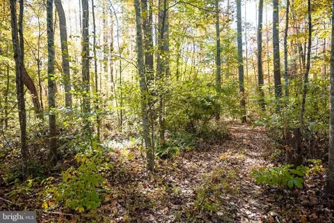 14290 Snake Castle Rd, Sumerduck, VA photo 13