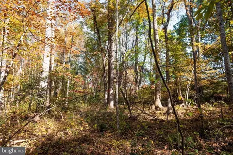 14290 Snake Castle Rd, Sumerduck, VA photo 12