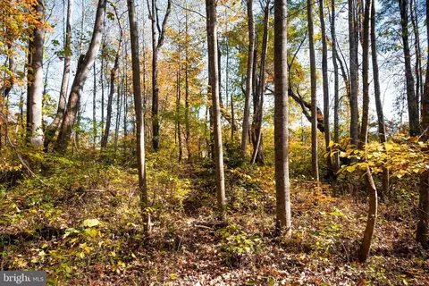 14290 Snake Castle Rd, Sumerduck, VA photo 15