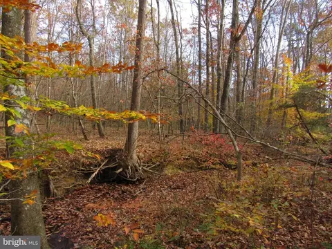 4085 Sumerduck Rd, Sumerduck, VA 22742 photo 34