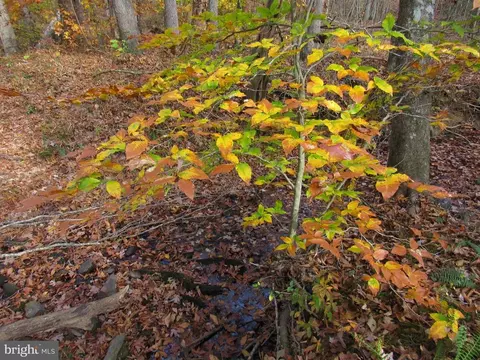 4085 Sumerduck Rd, Sumerduck, VA 22742 photo 35