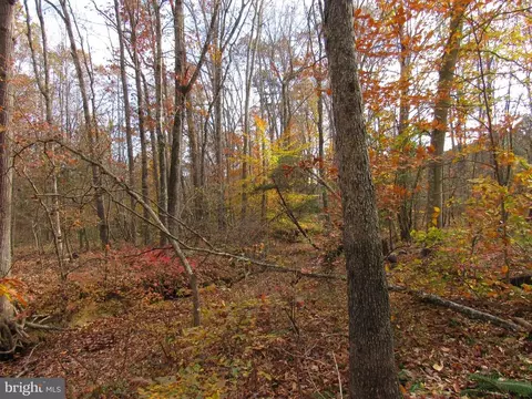 4085 Sumerduck Rd, Sumerduck, VA 22742 photo 37