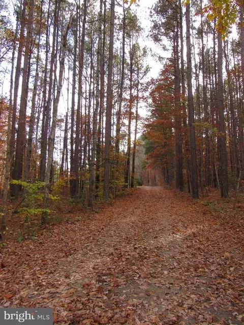4085 Sumerduck Rd, Sumerduck, VA 22742 photo 38