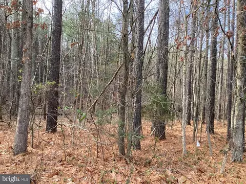 Shenandoah Path, Catlett, VA
