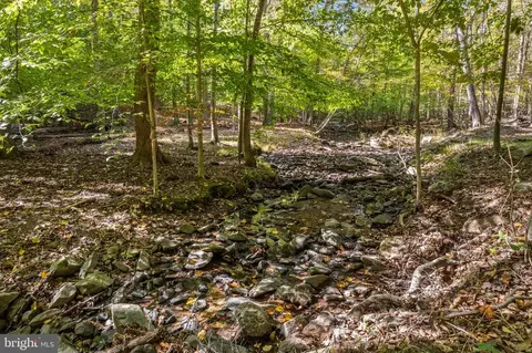 Fiery Run Rd, Linden, VA photo 20