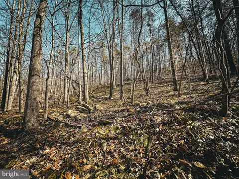 Hidden Springs Dr, Marshall, VA photo 21