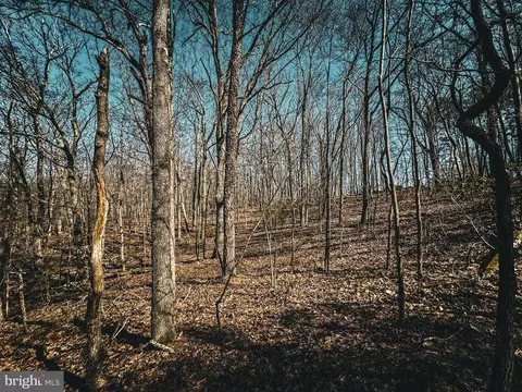 Hidden Springs Dr, Marshall, VA photo 19
