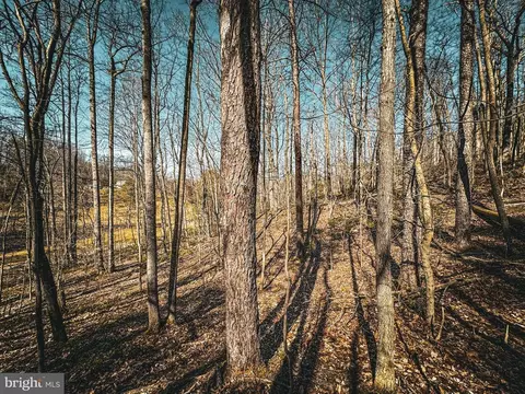 Hidden Springs Dr, Marshall, VA photo 23