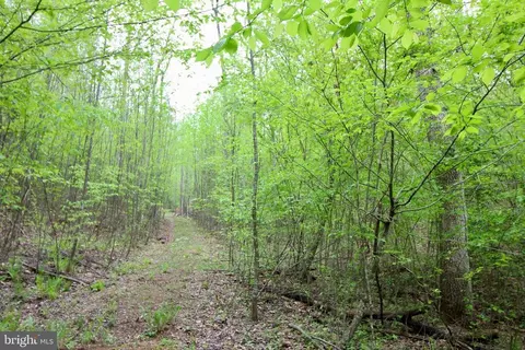 Tapps Ford Rd, Marshall, VA photo 13