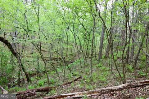 Tapps Ford Rd, Marshall, VA photo 21