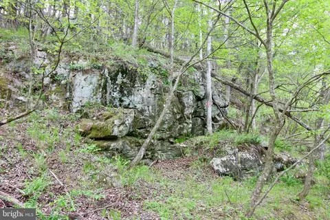 Tapps Ford Rd, Marshall, VA photo 20