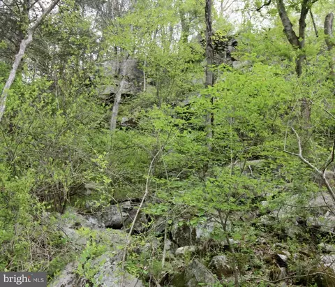 Tapps Ford Rd, Marshall, VA photo 18