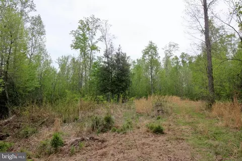 Tapps Ford Rd, Marshall, VA photo 12