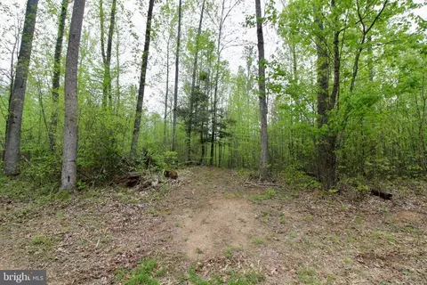 Tapps Ford Rd, Marshall, VA photo 10