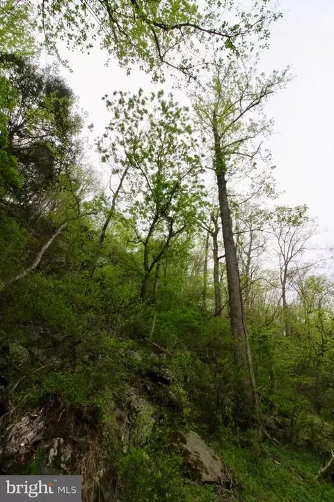 Tapps Ford Rd, Marshall, VA photo 19