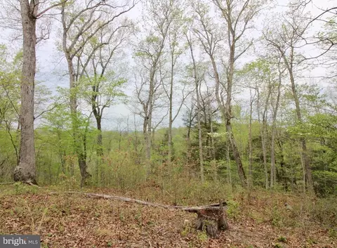 Tapps Ford Rd, Marshall, VA photo 22