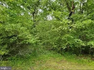 Catlett School Road, Catlett, VA photo 2