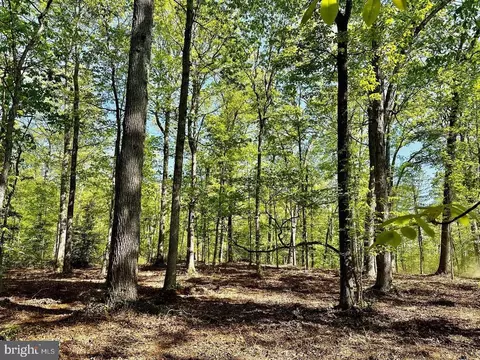 0 Tapps Frd, Amissville, VA 20106