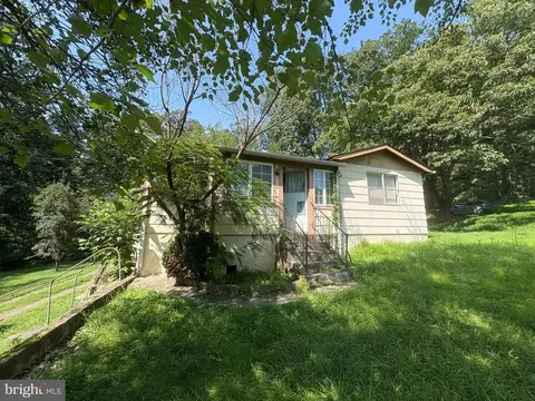 6040 Coon Tree Rd, The Plains, VA 20198